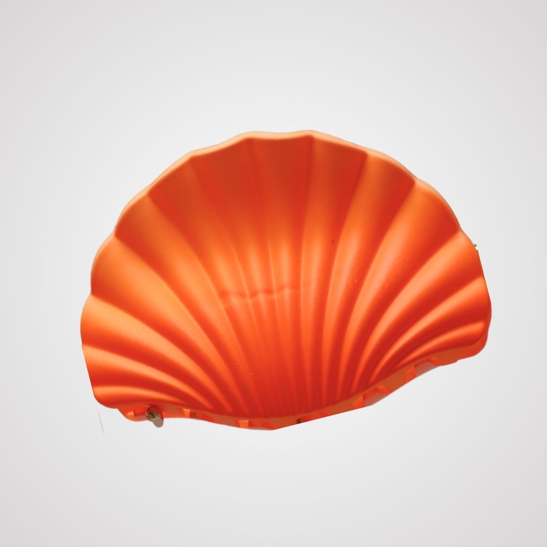 Shell Drop Hair Clip